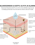 Diagram of benefits of Sapelo Skin Care C Skin Activator Serum-vitamin C Serum
