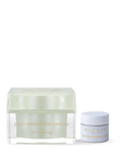 Sapelo Skin Care Rejuvenating Cream - Step Two