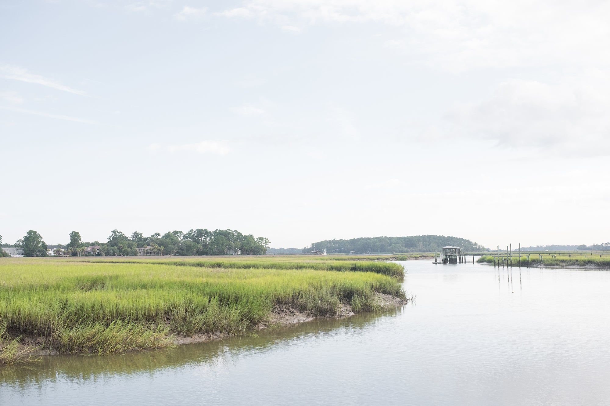 Southern Skin Care Meets Modern Science