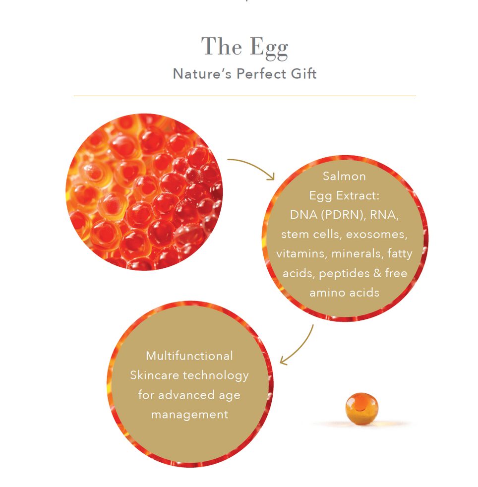 Promotional graphic for Sapelo Skin Care featuring salmon egg extract and multifunctional skincare technology. The design includes a small orange egg-shaped product, two circular close-ups of salmon egg cells, and text detailing the extract's DNA, RNA, stem cells, and exosomes, with the brand name Sapelo Skin Care at the bottom.