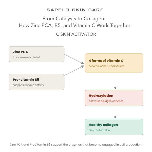 Sapelo Skin Care C Skin Activator Vitamin C Serum - Brighten & Hydrate