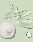 Sapelo Skin Care Renewing Serum & Rejuvenating Cream Set